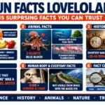 fun-facts-lovelolablog